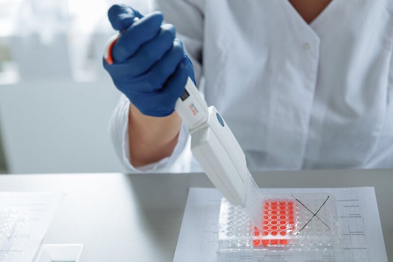 DNA Tests for Labrador Retrievers