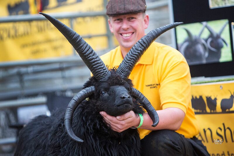 Jonathan James - Licensed Labrador breeder