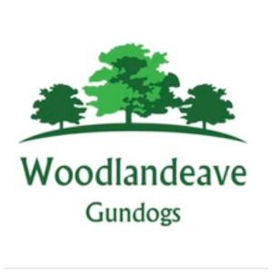 Karen Cole - Licensed Labrador breeder