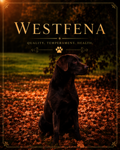 Westfena