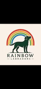 Rainbow Labradors