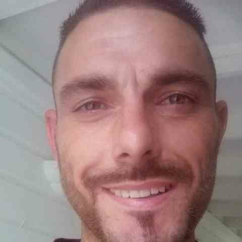 Will Abbot - Labrador breeder