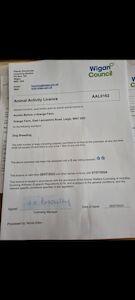 Annika barlow - Licensed Labrador breeder