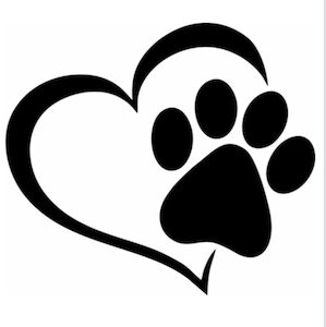Tommy List - Licensed Labrador breeder