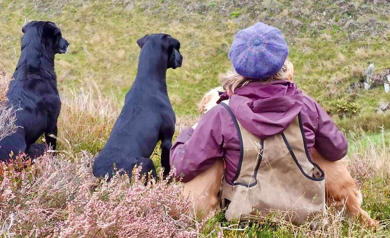 helen paterson - Licensed Labrador breeder