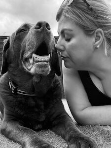 Lisa Darvill - Licensed Labrador Breeder