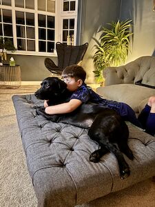 Verity Lawrence - Labrador breeder