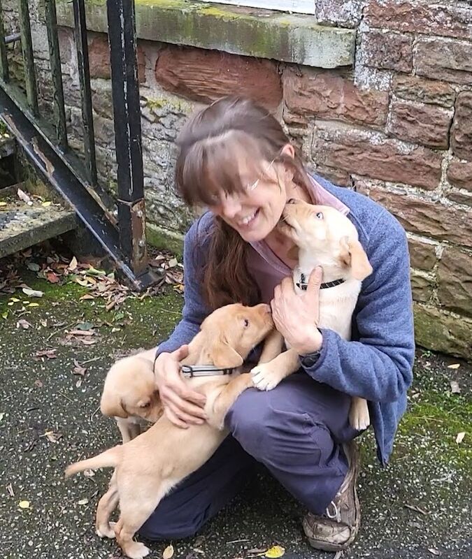 Dr Emma Creighton - Labrador Breeder on Labrador Owners - Image 1