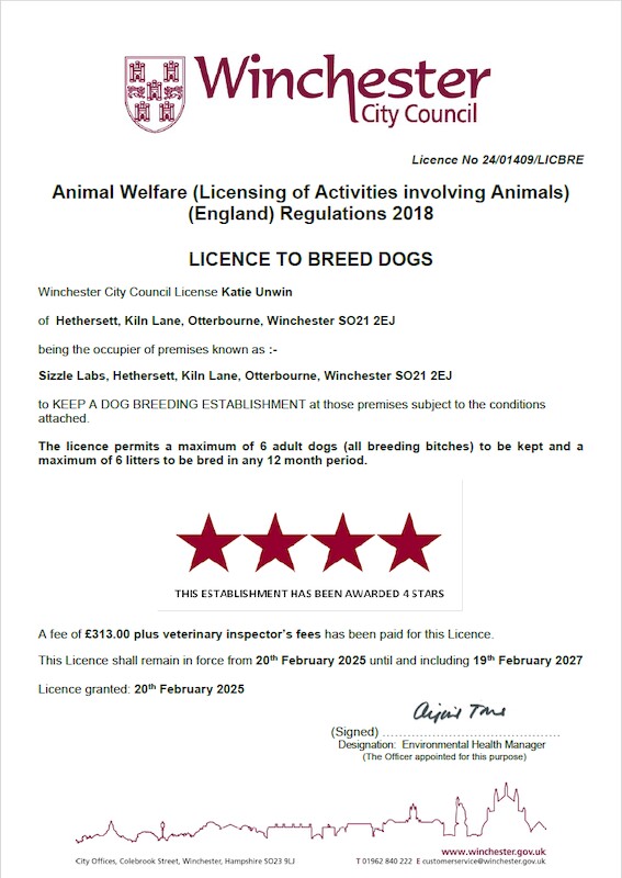 Katie Bunyan - Licensed Labrador Breeder - Image 1