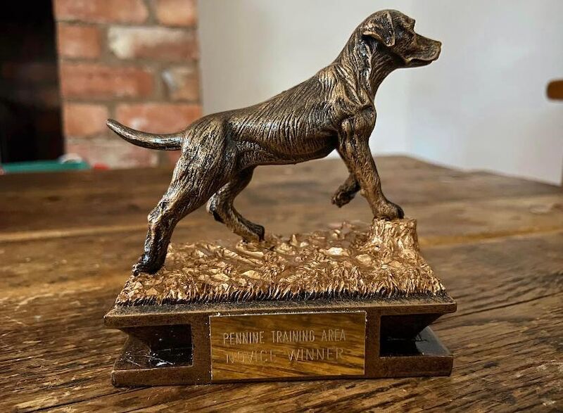 Melanie platt - Licensed Labrador Breeder in Southport, Merseyside  on Labrador Owners - Image 3