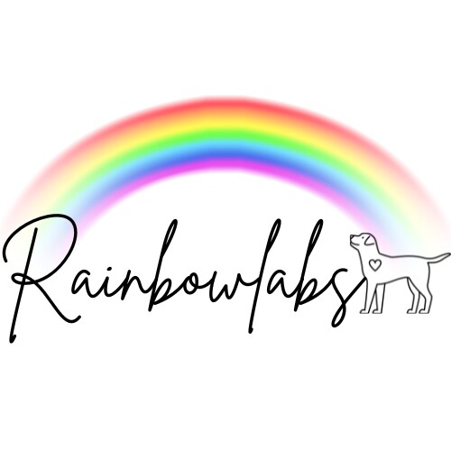 RainbowLabs - Licensed Labrador Breeder - Image 1
