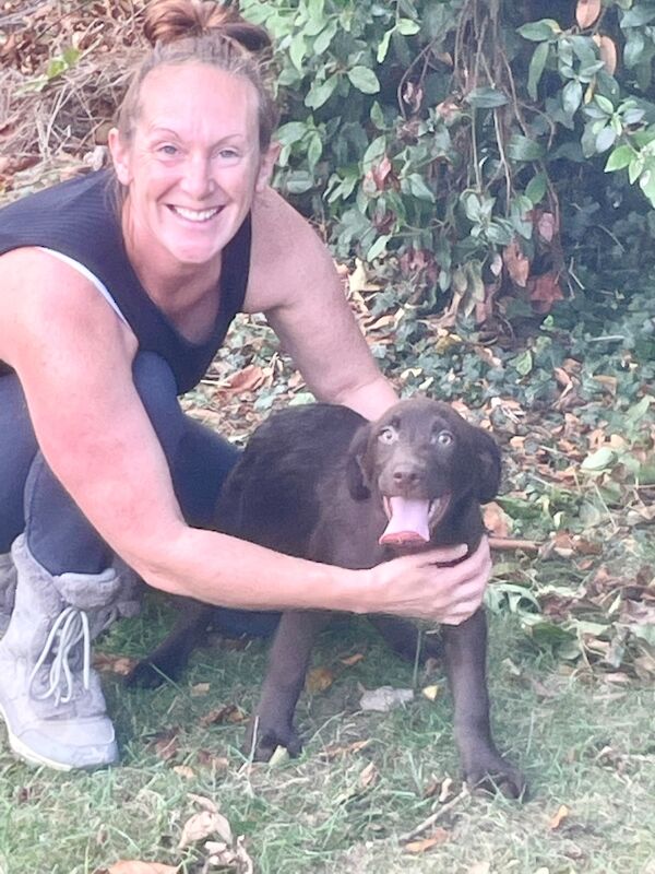 Sarah - Licensed Labrador Breeder in Doncaster, South Yorkshire - Image 3