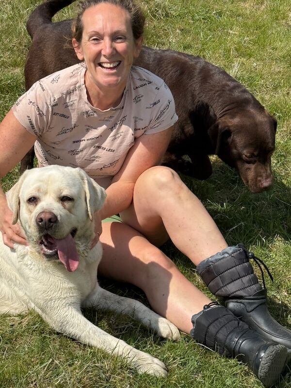 Sarah - Licensed Labrador Breeder in Doncaster, South Yorkshire on Labrador Owners - Image 8