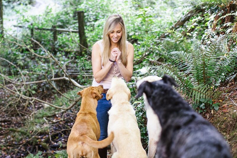 Sarah cox - Labrador Breeder on Labrador Owners - Image 12