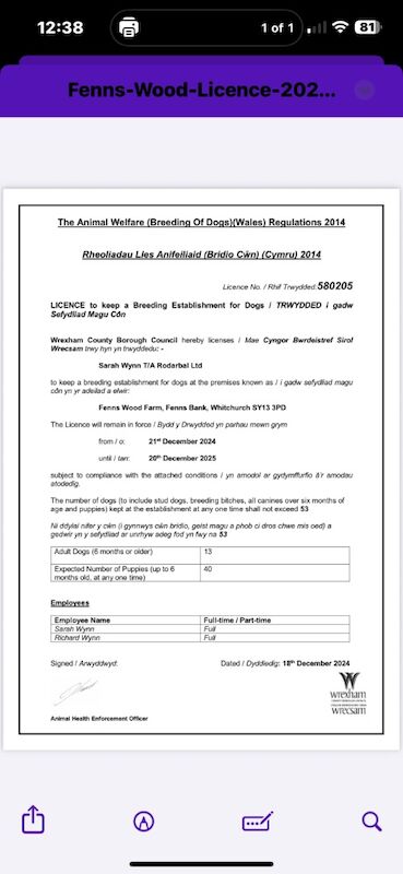 sarah wynn - Licensed Labrador Breeder on Labrador Owners - Image 1